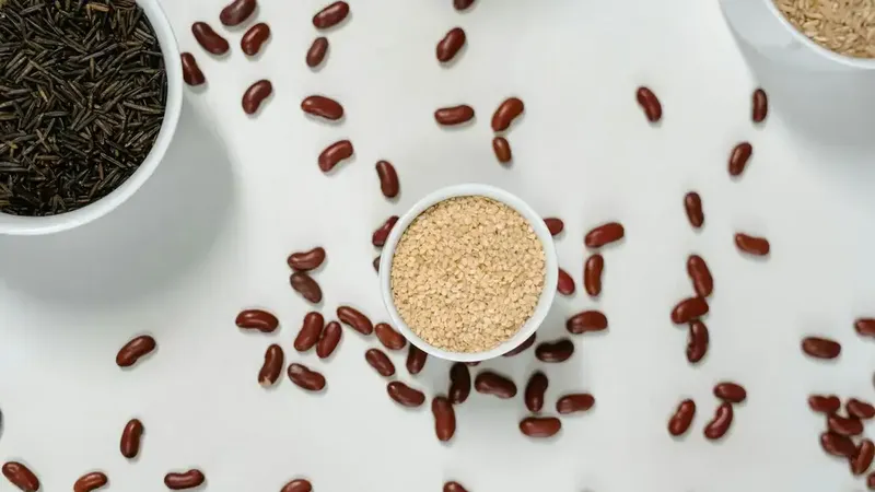 Plant protein and sustainability