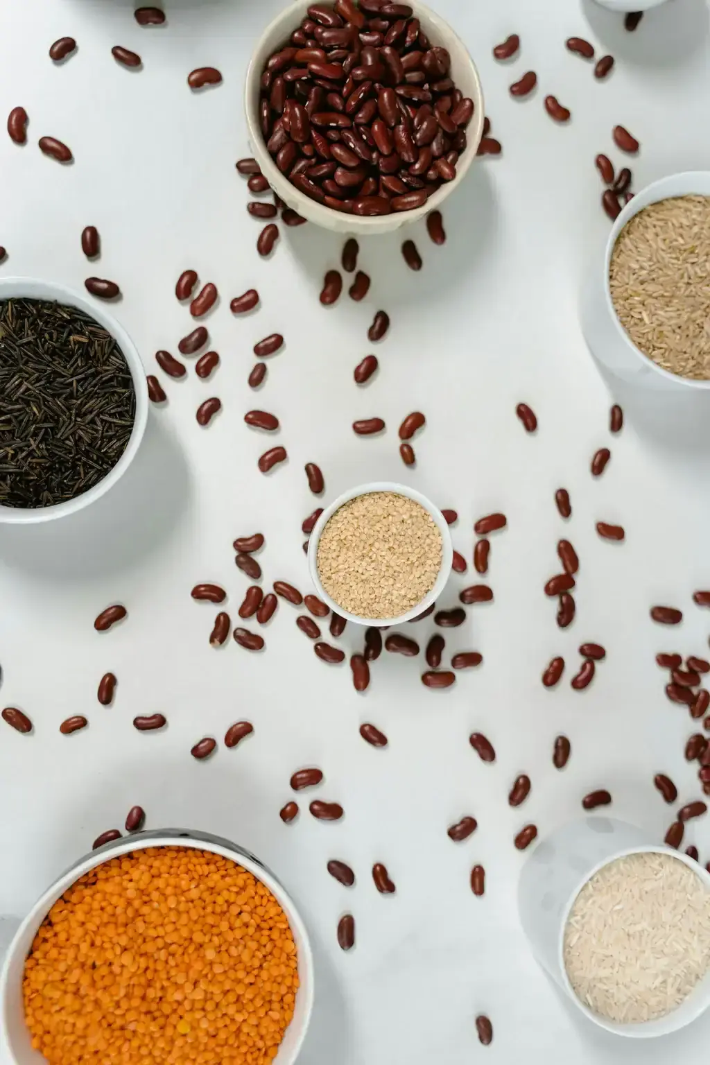 Plant Protein Sustainability: Lower Carbon Choices
